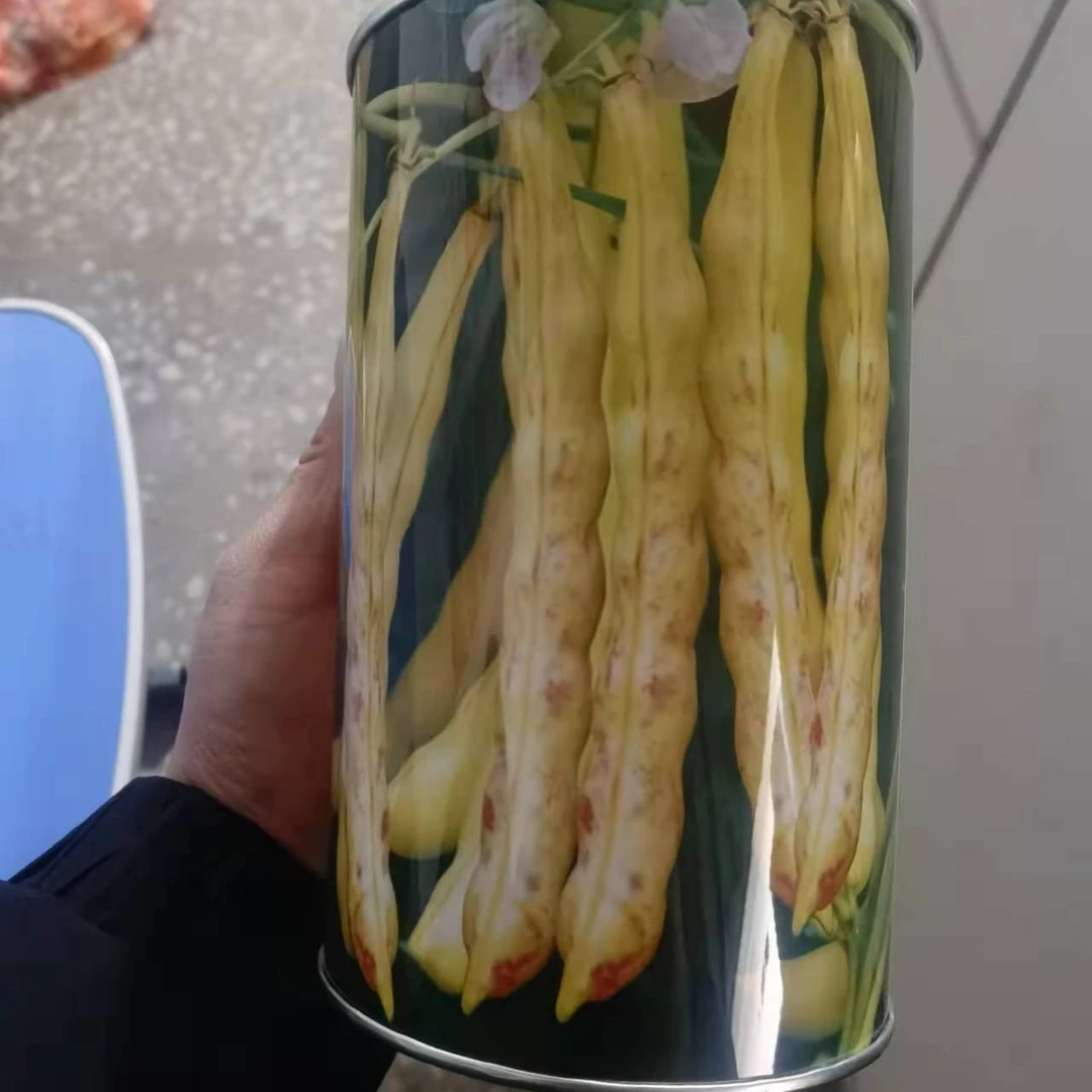 岭研黄金钩豆角种子