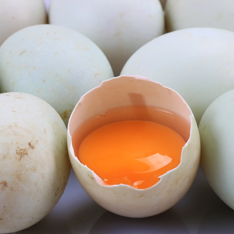 【农家散养土鸭蛋】贵州三穗农家散养鸭蛋新鲜三穗鸭蛋当天现捡现发