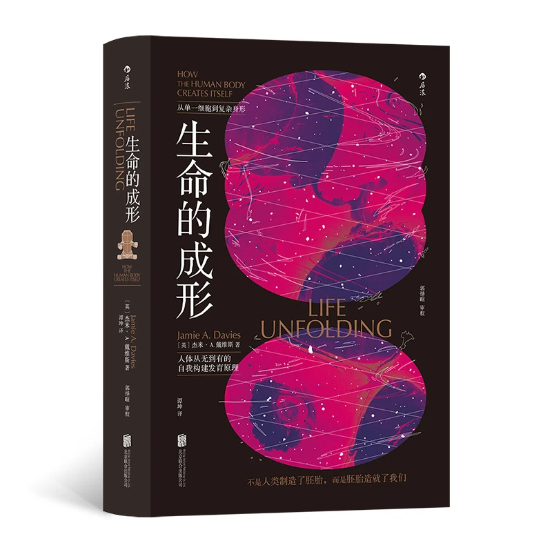 生命的成形 人体从无到有的自我构建发育原理 胚胎造就了我们