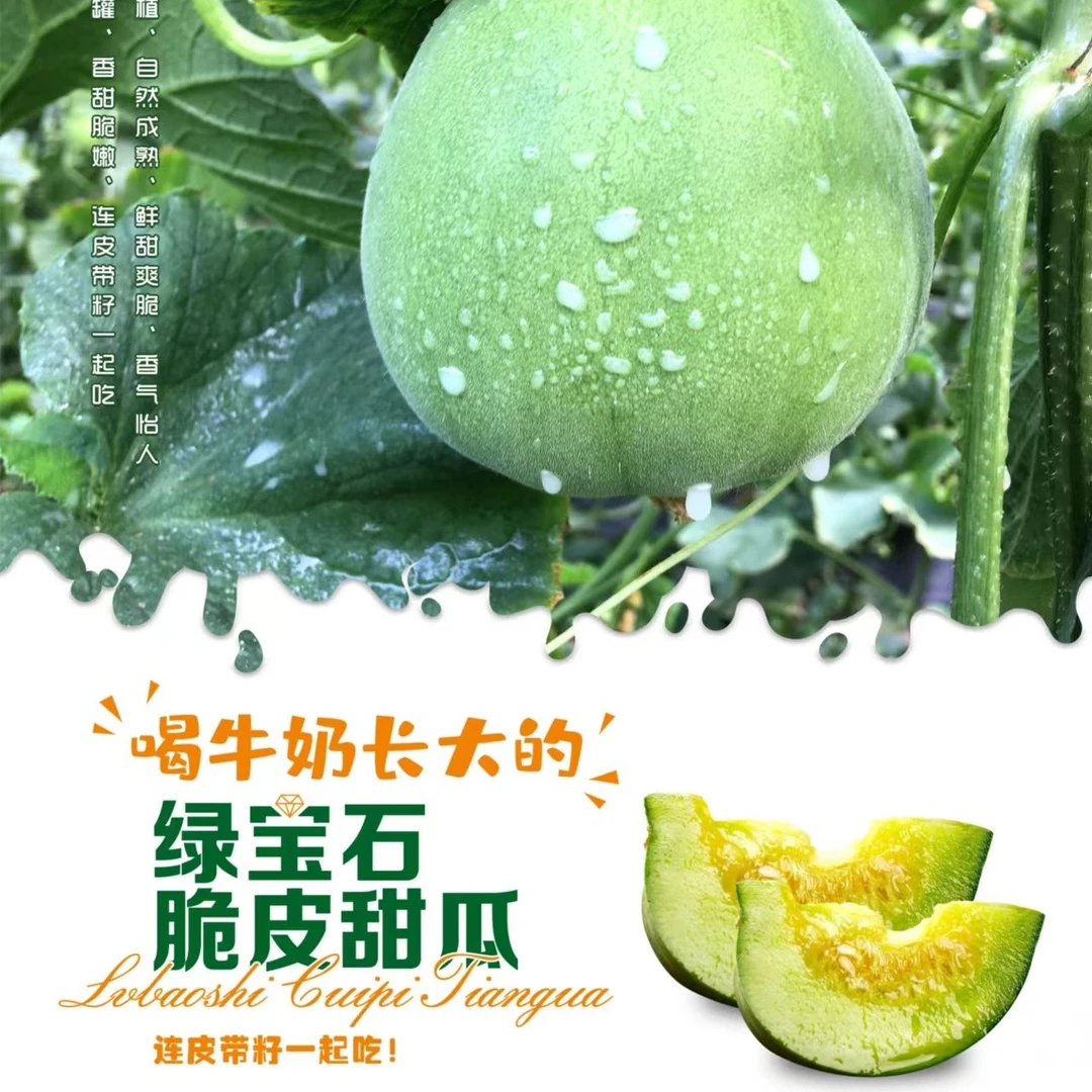 向娃向娃山西运城绿宝石脆皮甜瓜5斤包邮