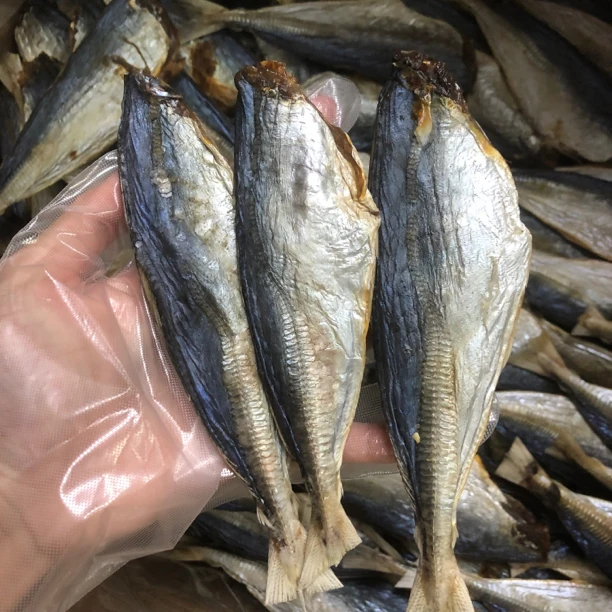 珠海 池鱼 巴浪鱼 1斤/500g