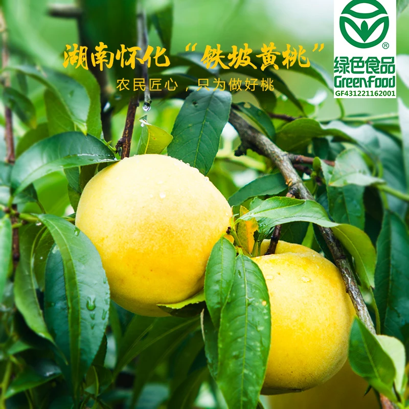湖南高山红心黄桃绿色食品认证新鲜水果带箱5斤现摘现发坏果包赔