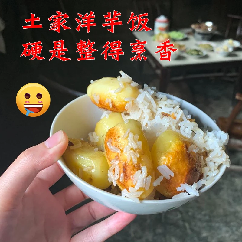 陕西岚皋高山土豆5斤农家自种小洋芋新鲜当季粉面香糯马铃薯