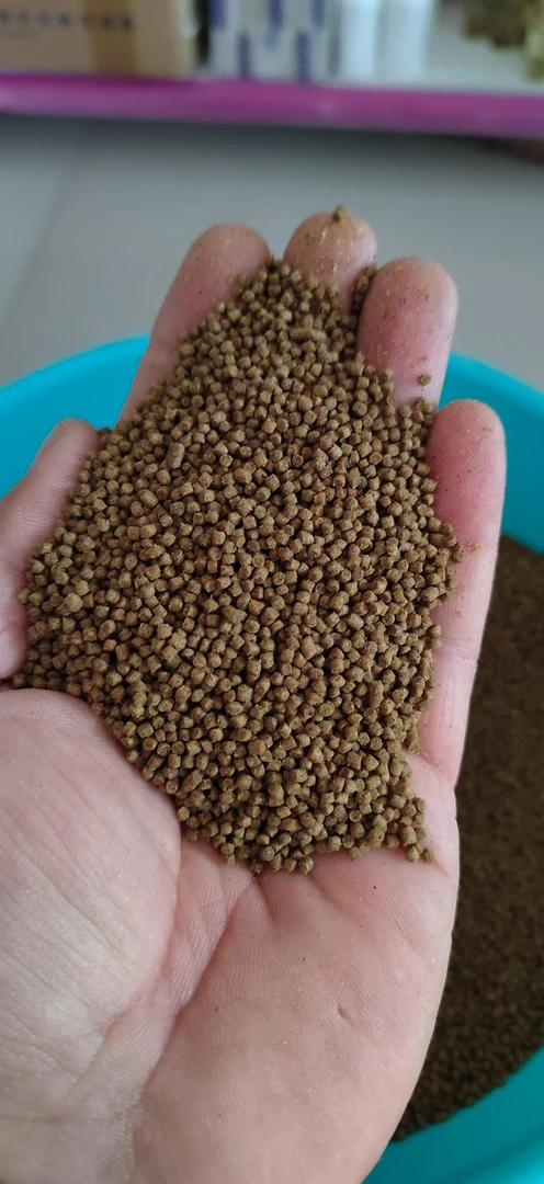 黑坑鲤鱼各种麻团颗粒