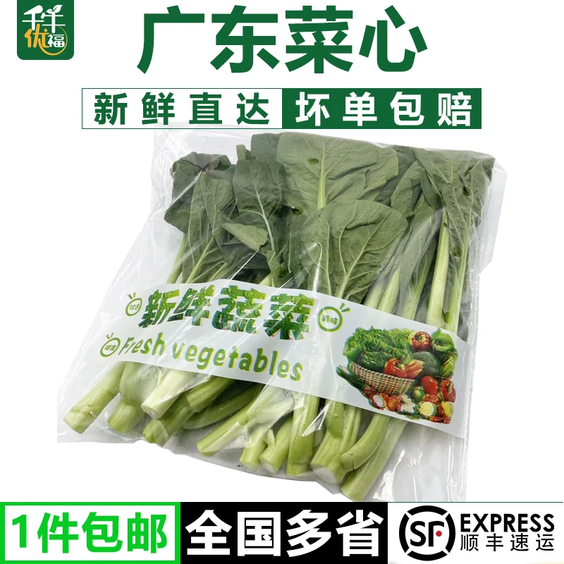 千牛优福广东菜心1-5斤新鲜广东菜花菜薹水白菜花农家菜顺丰包邮