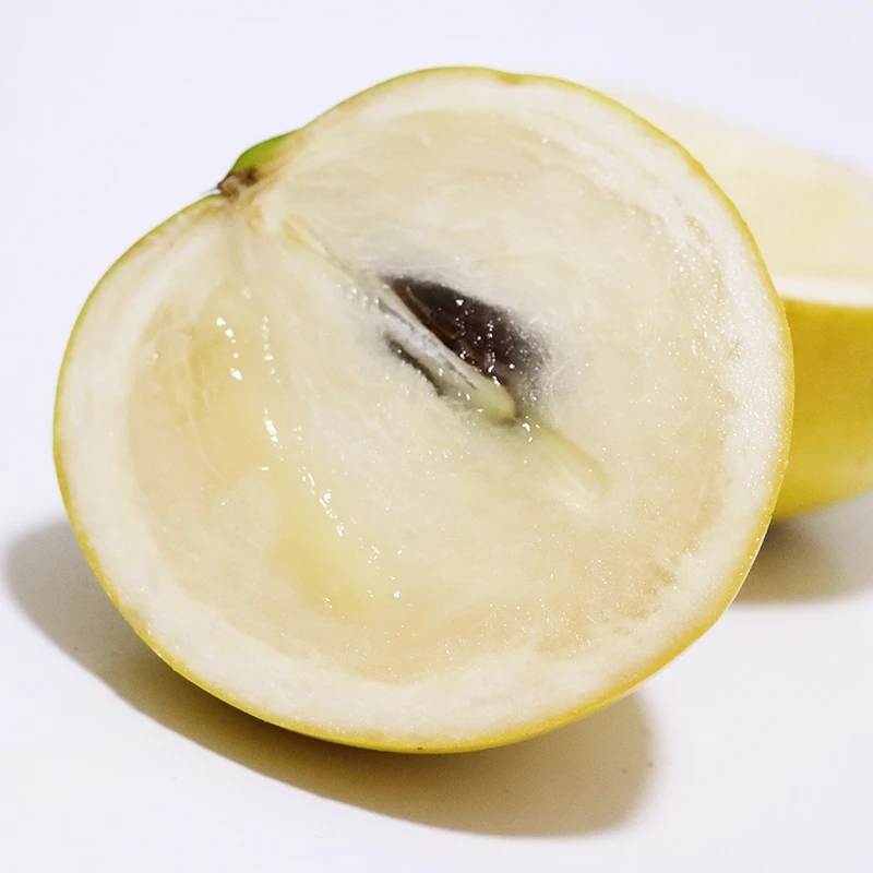 【阿海寻蜂记】福建自种精选黄晶果2斤3斤4斤5斤冬蜜顺丰包邮