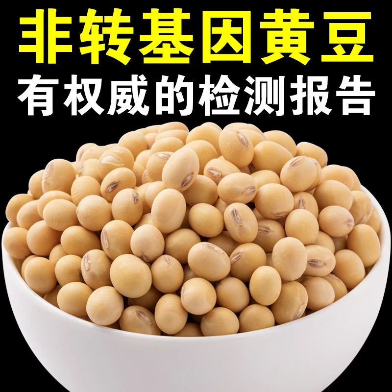 非转基因黄豆做豆腐煲汤打豆浆专用老品种大豆土黄豆椭圆形笨黄豆