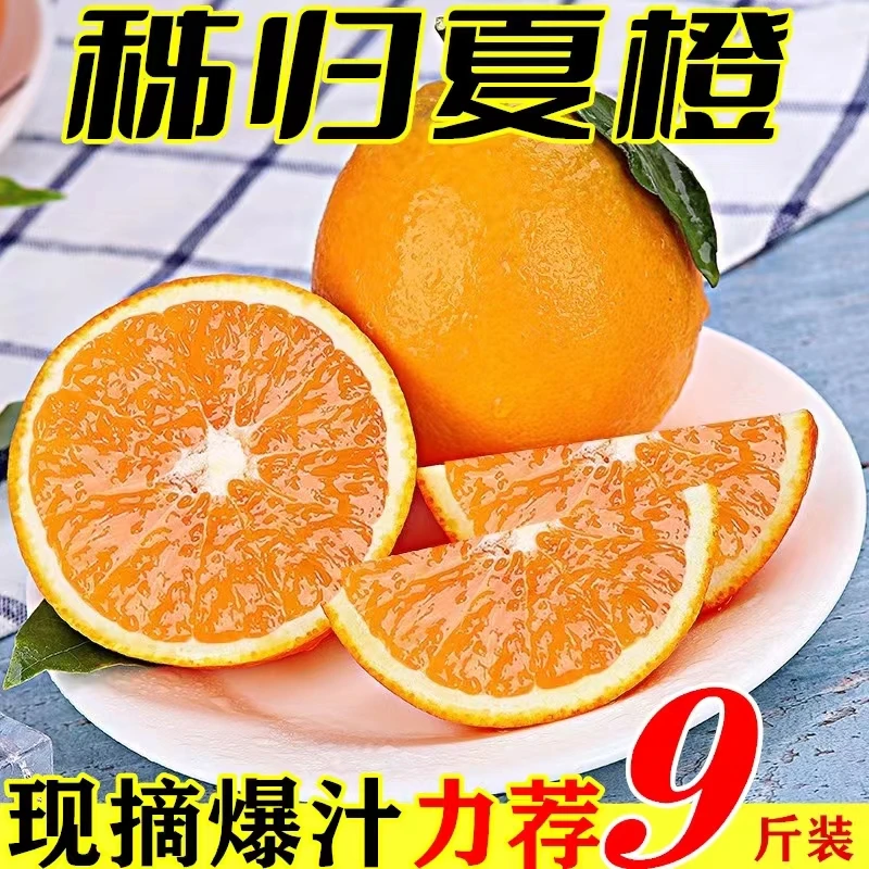 【坏果包赔】应季水果夏橙湖北秭归脐橙子产地发新鲜多汁9斤鲜橙