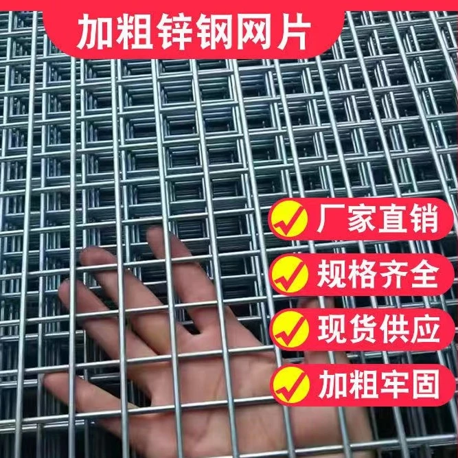 镀锌铁丝电焊网片小孔加粗网格钢丝网鸽舍围网地网鸟笼养殖网耐用