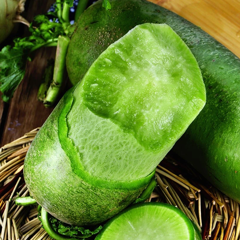 【水果萝卜种子】生吃青绿肉沙窝高糖甜脆萝卜种子庭院阳台种子简单