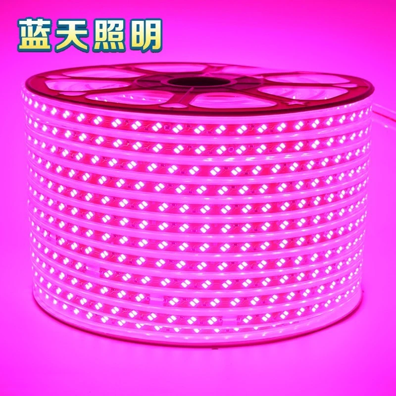 蓝天LED灯带紫色粉色220V家用吊顶软灯条线条灯户外亮化防水灯带