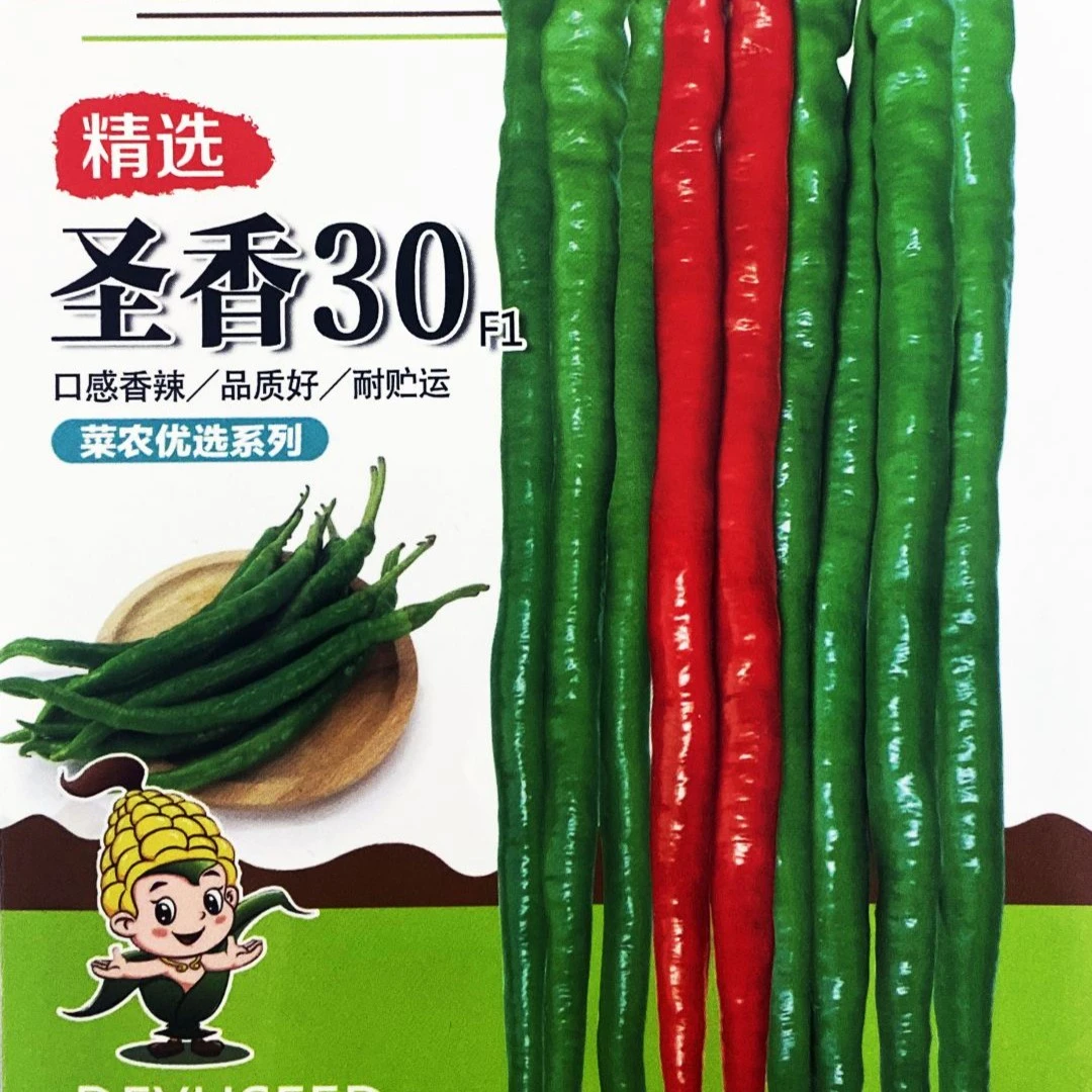 德豫 圣香30线椒种子中早熟高品质线椒种子蔬菜种子 高产壮苗基因