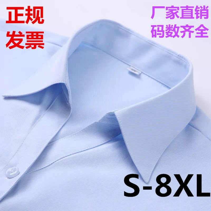 2024春季女士浅蓝斜纹V领棉衬衫大码衬衣职业正装工作服收腰修身