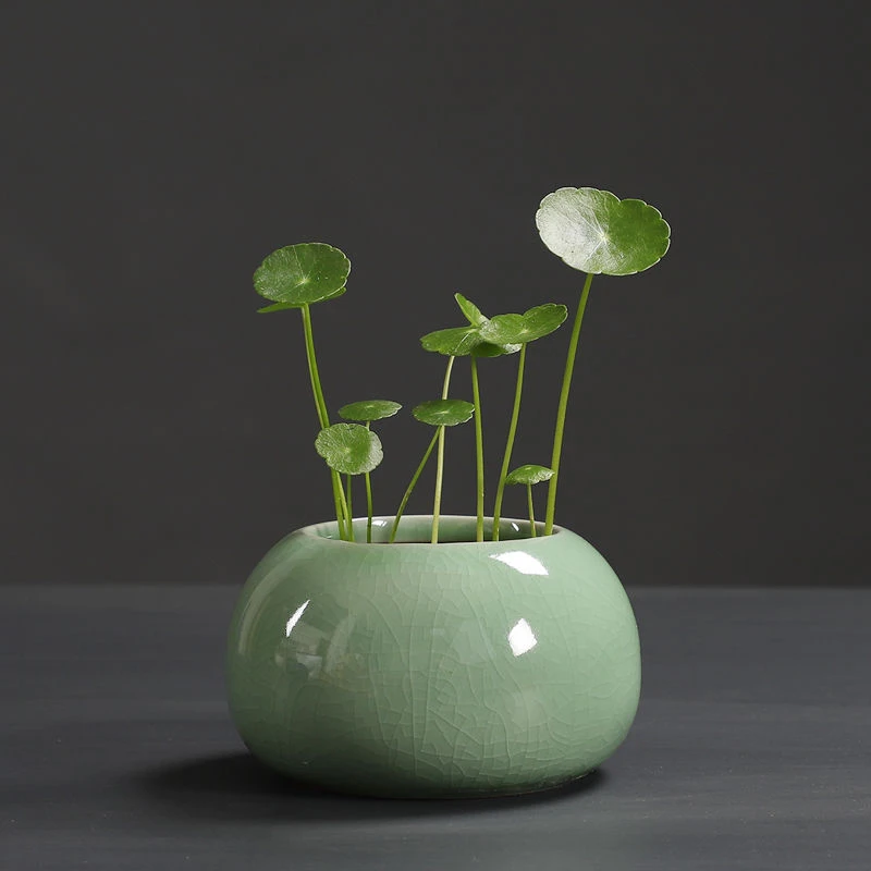 陶瓷  开片陶瓷水培小花盆铜钱草花器小清新容器桌面花盆档次