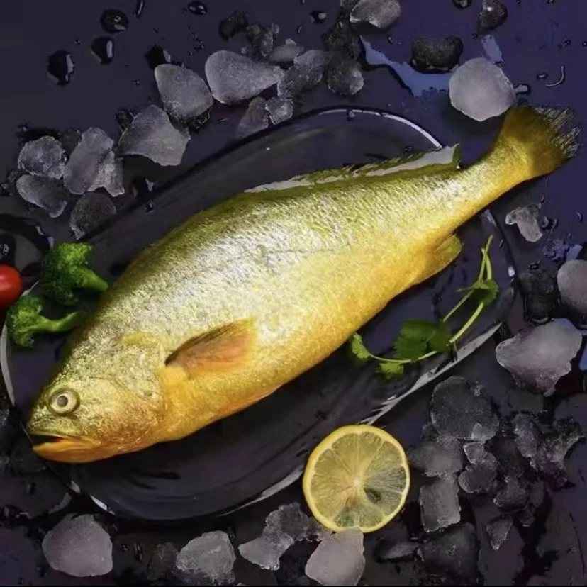 【全疆包邮】精选黄花鱼 450克左右/条   鲜嫩营养老少皆宜