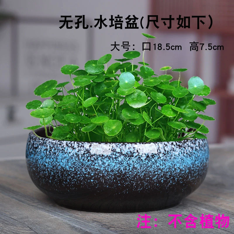 无孔水培花盆陶瓷铜钱草花盆水仙花睡莲多肉碗莲专用家用陶器花盆