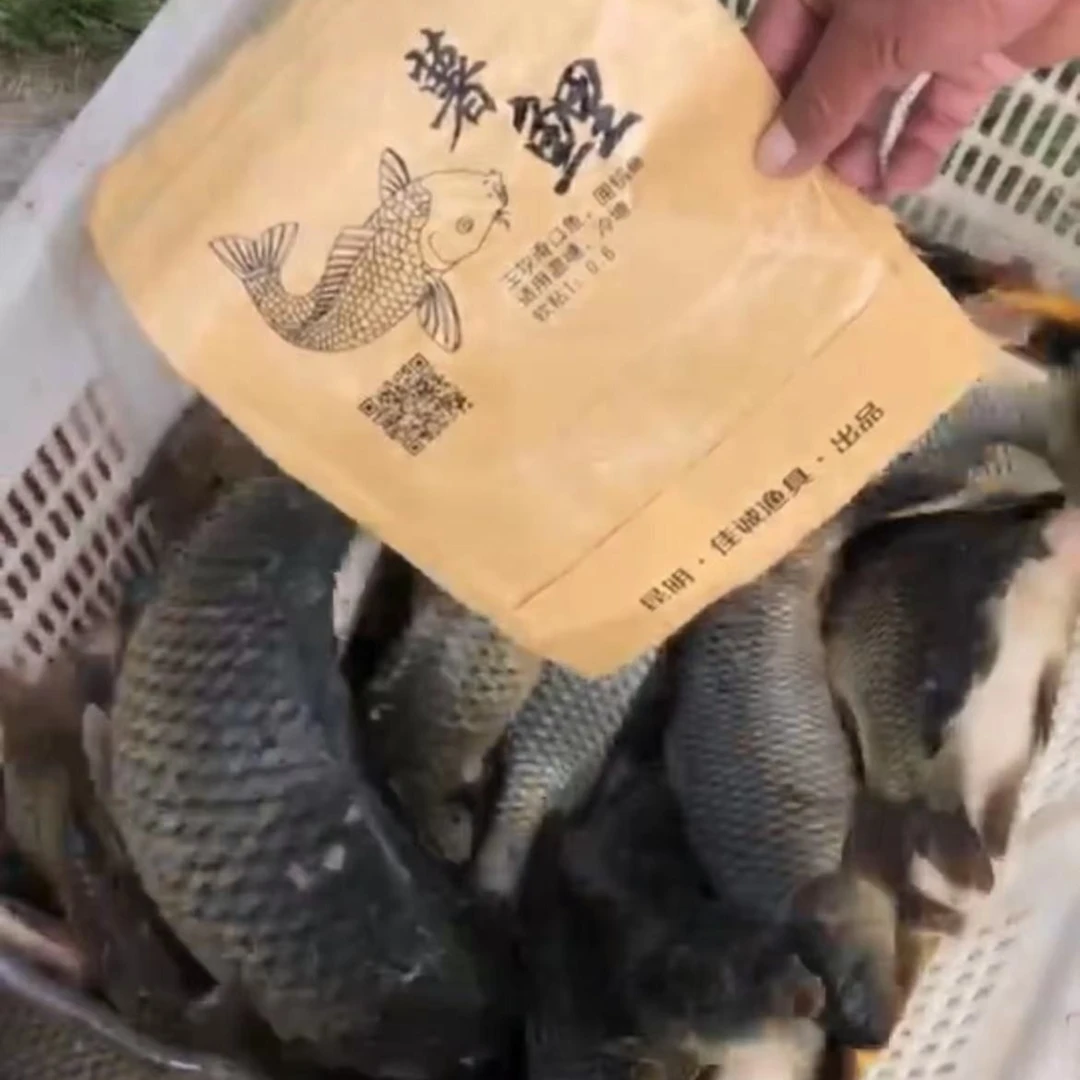 薯鲤钓鱼，钓滑鱼爱好者的知音，2包55豆