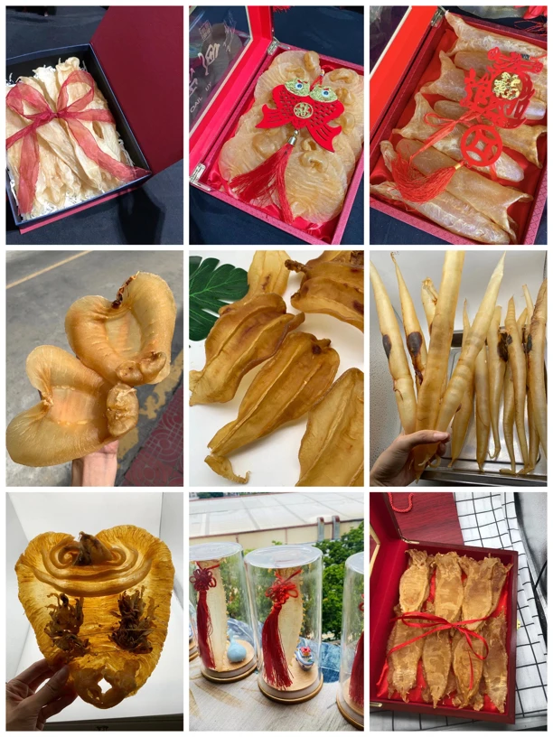 【小吖家】南澳鱼胶10——500克(dai拍链接)