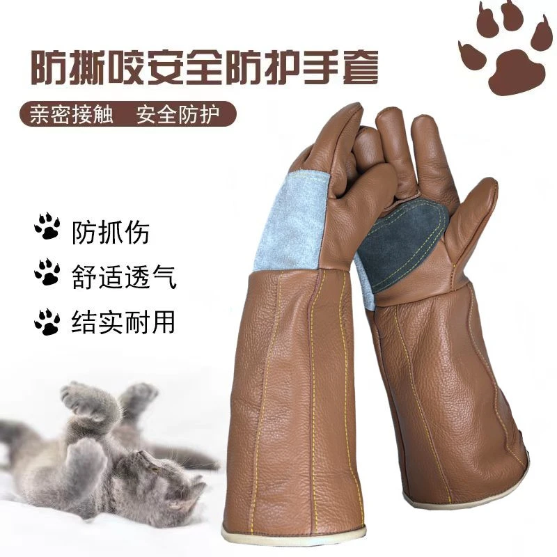 【宠物防抓咬手套】防猫猫仓鼠防狗咬护食训练宠物洗澡防蛇护手套
