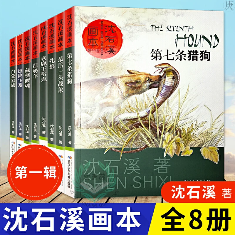 沈石溪动物小说全集画本全套8册zui后一头战象中小学生课外阅读书