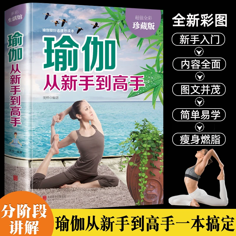 瑜伽从新手到高手全彩珍藏版 初级入门到精通零基础教程大全 图解