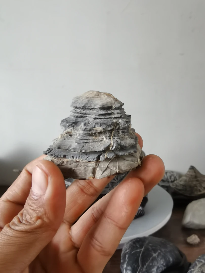 （不包邮 ）灵璧石订单， 仅供直播间参拍使用，单拍无效