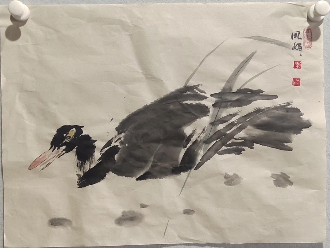 河南花鸟协会会员李凤娟作品