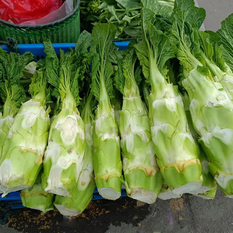 安徽无为特产农家直销新鲜棒菜蔬菜本地时令菜1份3斤5斤包邮
