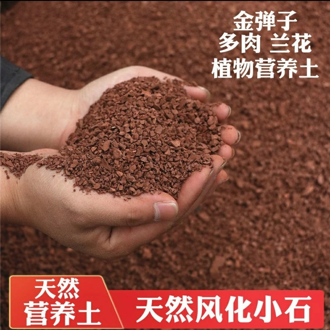 9.5斤天然风化石金弹子兰花多肉生根营养土酸性土渗水石红土颗粒