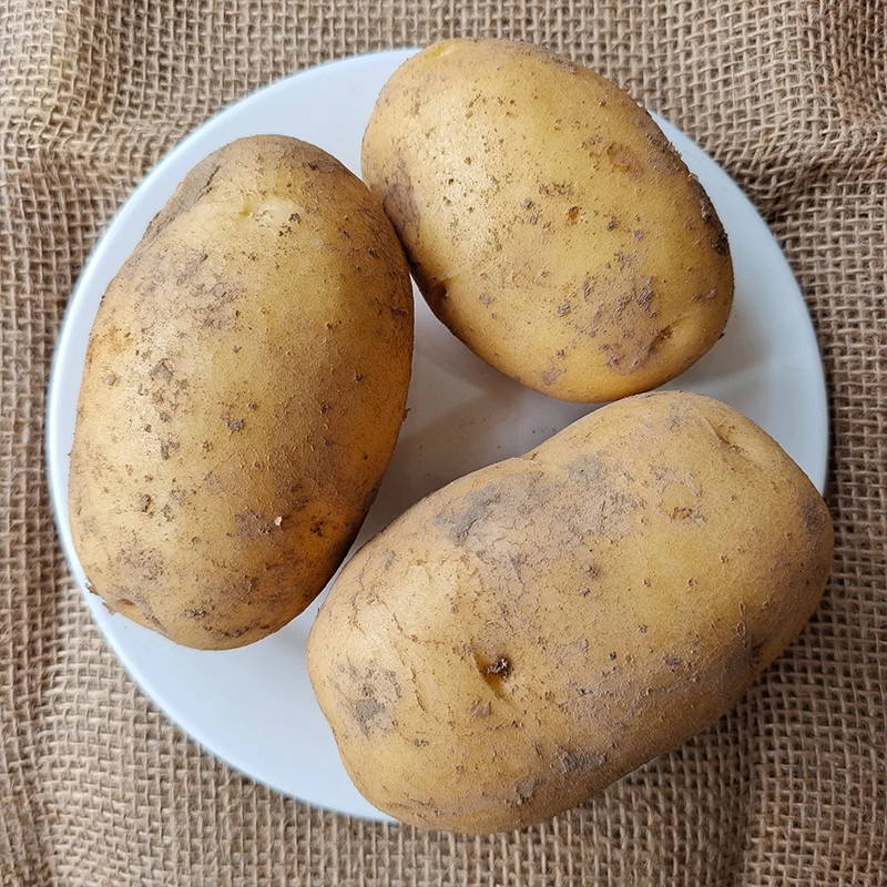 甘肃定西土豆高原山地旱地土豆会宁定西农家土豆5斤9斤即将上市