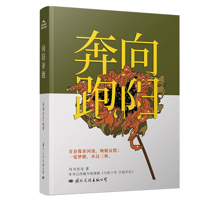 《向阳奔跑》  正版书籍精选好书