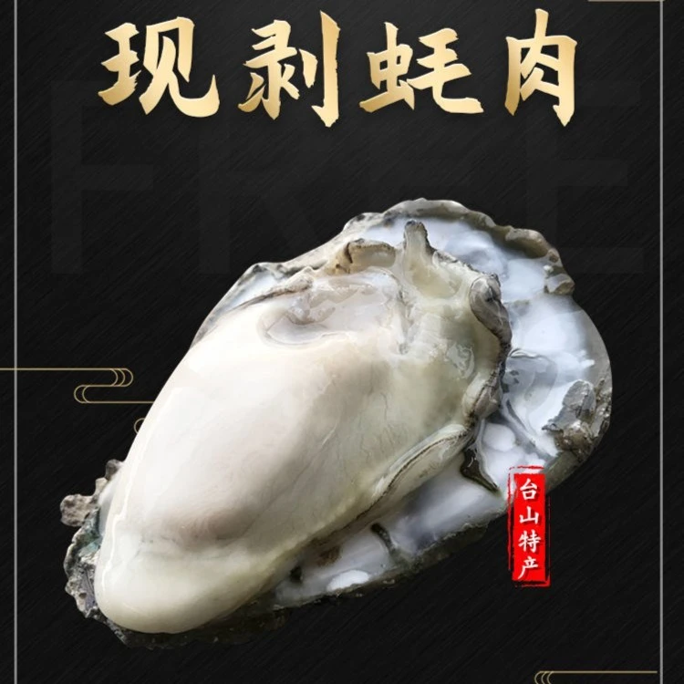 广东台山生蚝鲜活去壳生蚝肉新鲜现剥特大牡蛎海鲜500g装顺丰包邮