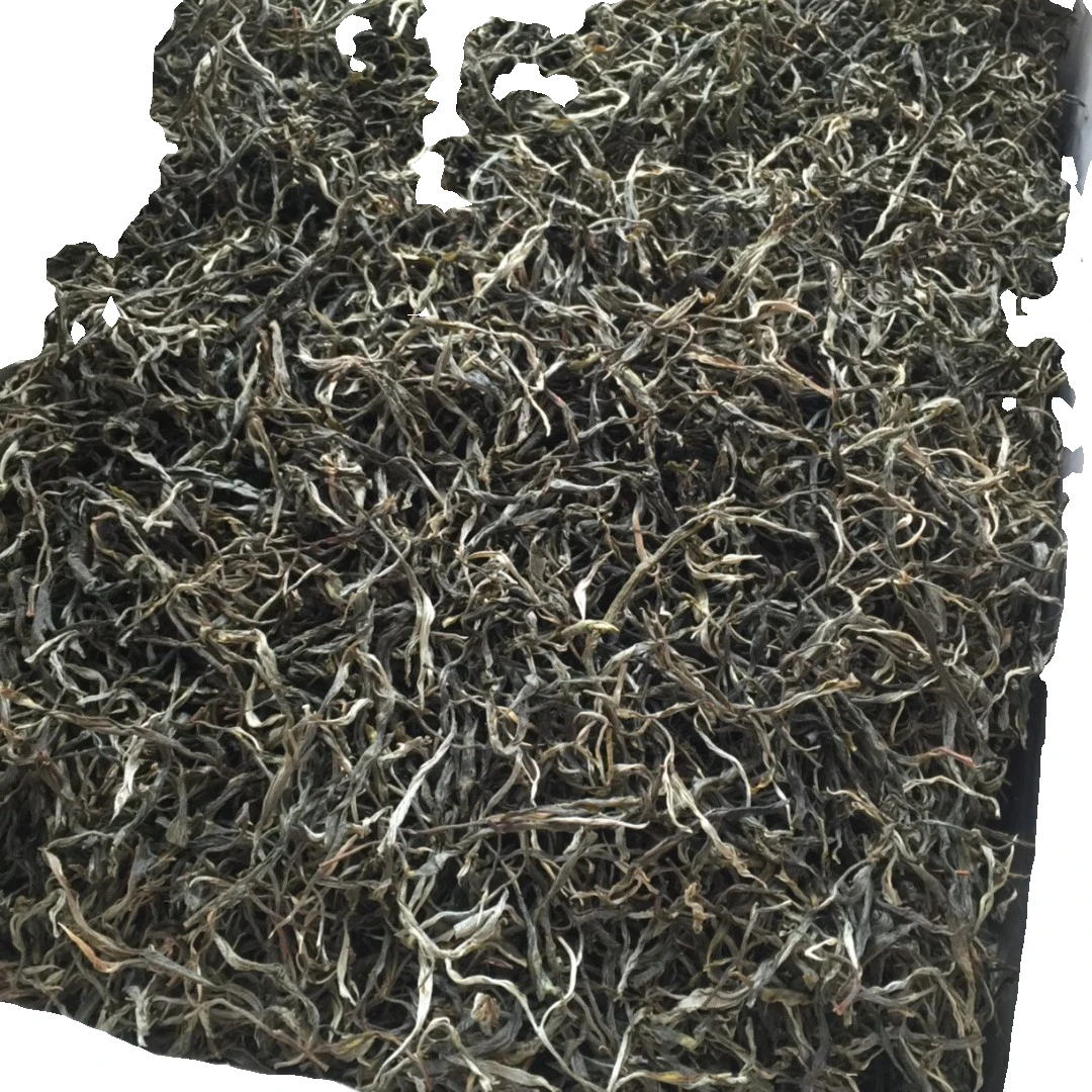 2023年老班章四号地挑采《高等级》3泡 24克