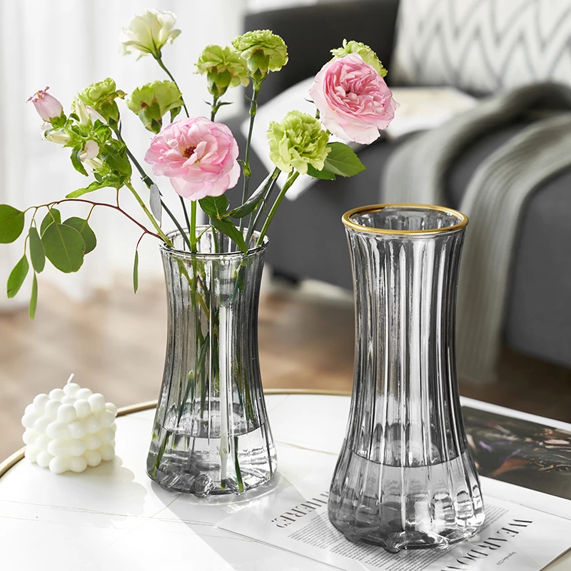 北欧创意简约玻璃花瓶透明水养鲜花百合富贵竹插花瓶客厅装饰摆件