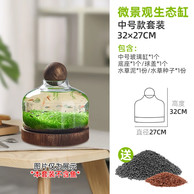 【翊萌家专享】生态瓶生态缸微景观生态鱼缸水草缸小鱼生态瓶木塞缸