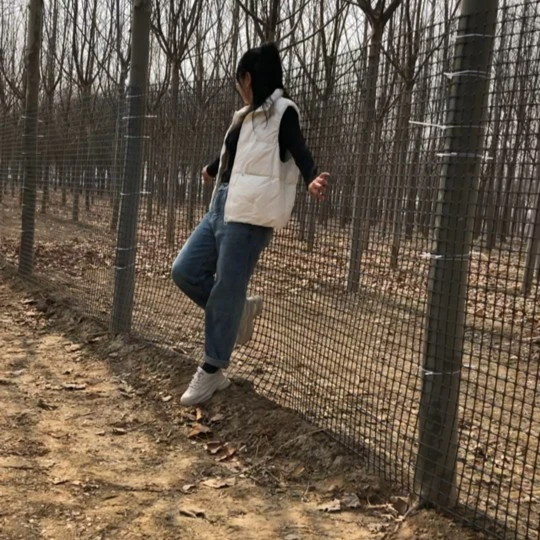 养殖网 圈地网 圈果园网 3.5厘米孔/黑色加密网/水产养殖/囤玉米