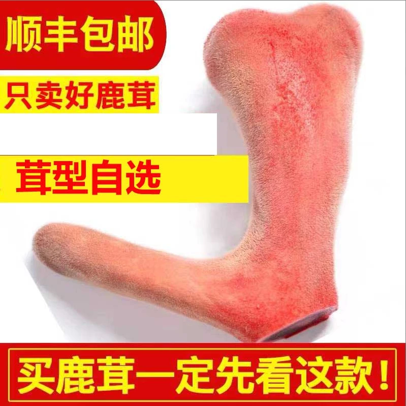 2同福鹿场直销 整支鹿茸切鹿茸中段 鹿茸片2
