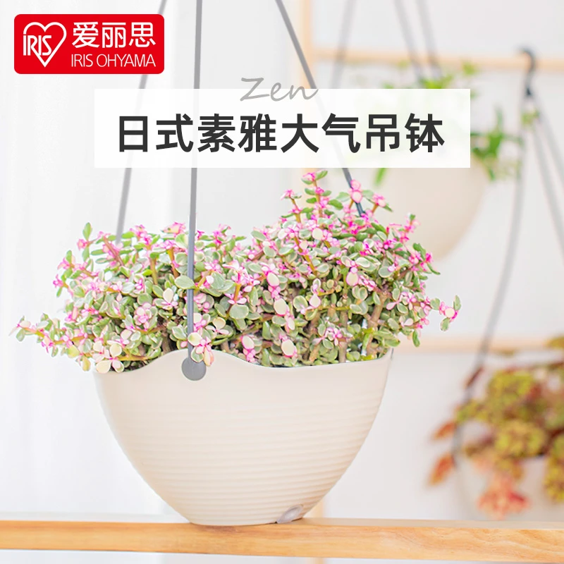 【爱丽思IRIS】吊兰垂吊壁挂式景花盆爱丽丝绿萝加厚仿陶纹送控根网