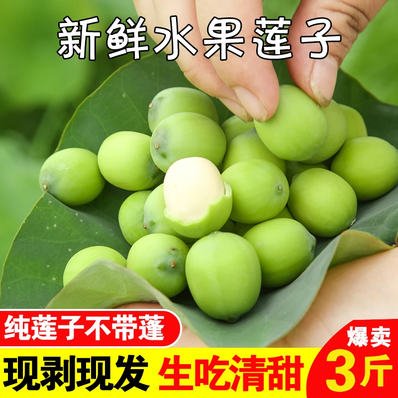 洪湖颜姐莲蓬莲子米嫩甜可口2斤3斤顺丰空运
