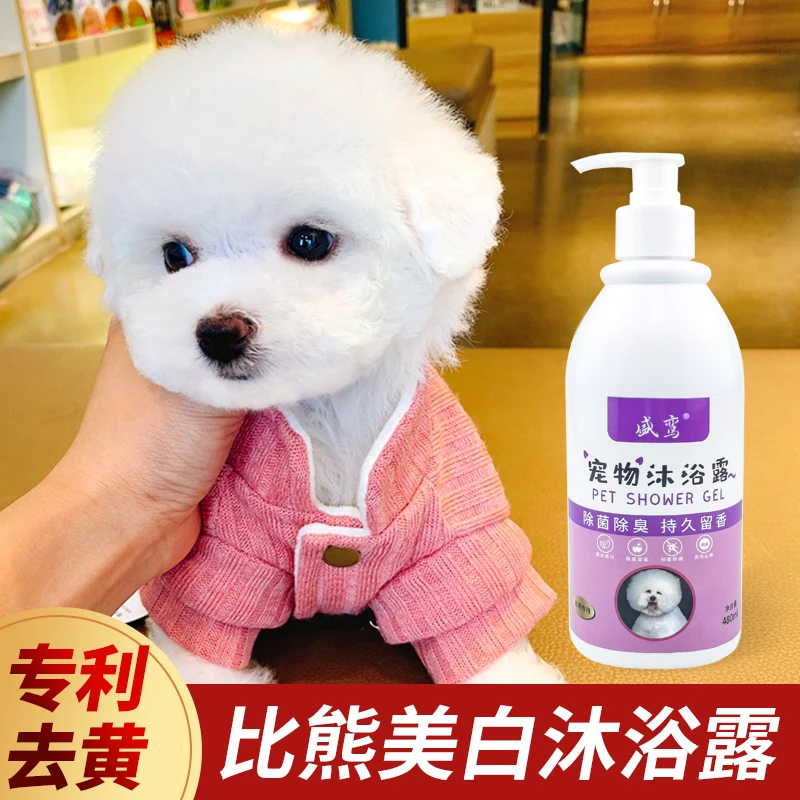 【美白去黄】比熊专用沐浴露洗澡专用浴液洗白白毛狗狗专用沐浴液