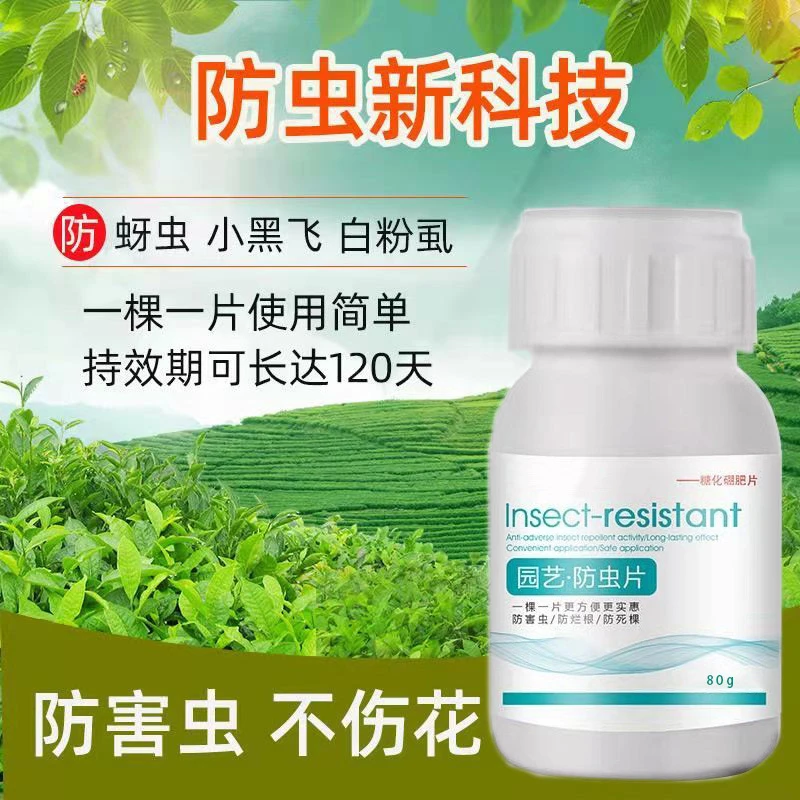 家庭园艺生物防虫片防小黑飞蚜虫白粉虱小菜蛾飞虫家用花草月季