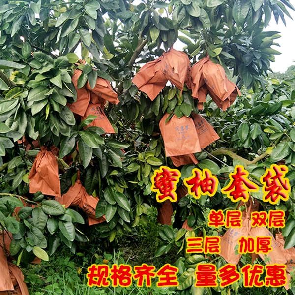 柚子套袋蜜柚防虫防水防晒保护袋双层三层刀把型套袋果袋厂家直供
