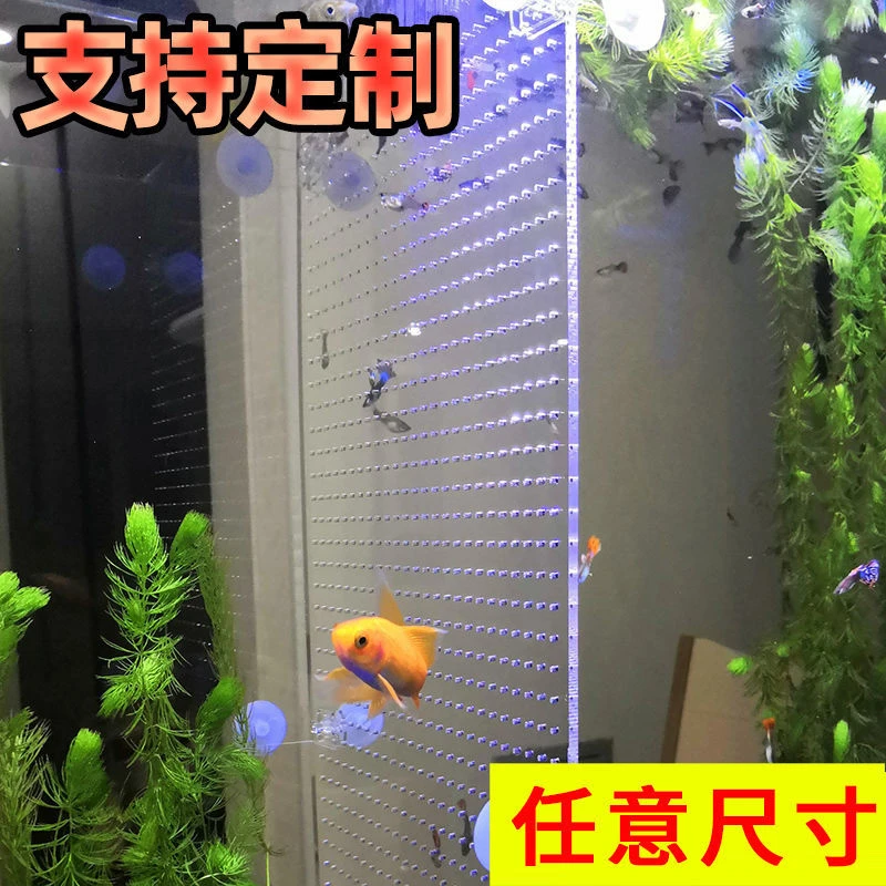 鱼缸隔离板透明亚克力挡板挡斗鱼罗汉芦丁鸡育雏分离隔断隔板