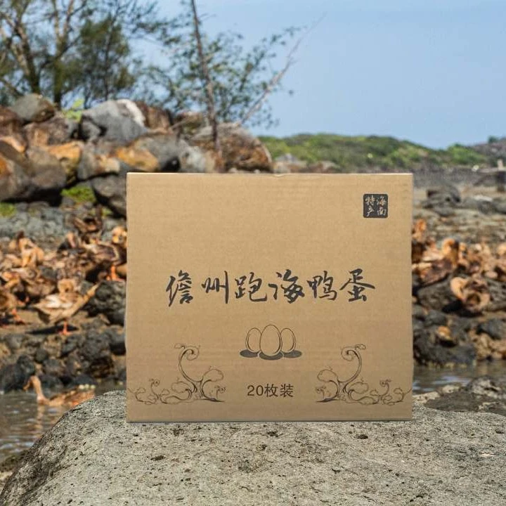 【海鸭兄弟】海南儋州咸跑海鸭蛋家庭普通装