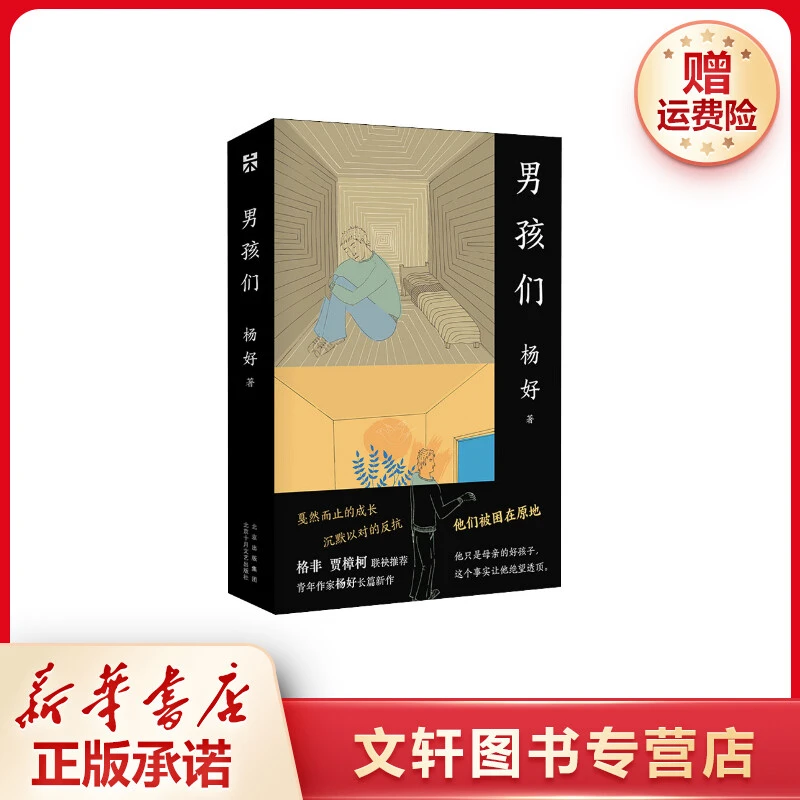 【文轩】男孩们 中国现当代文学