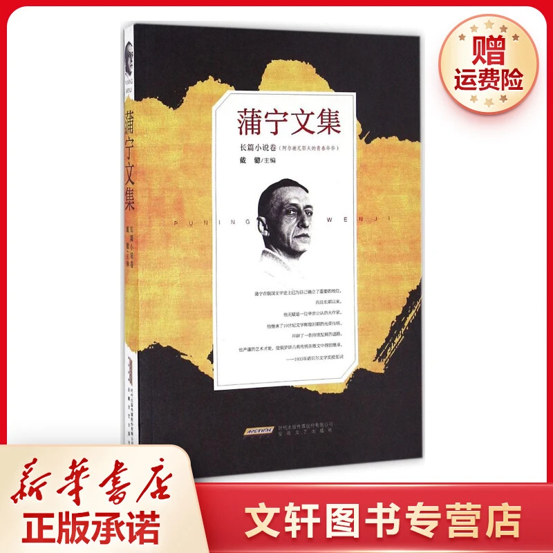 【文轩】蒲宁文集.长篇小说卷 中国现当代文学