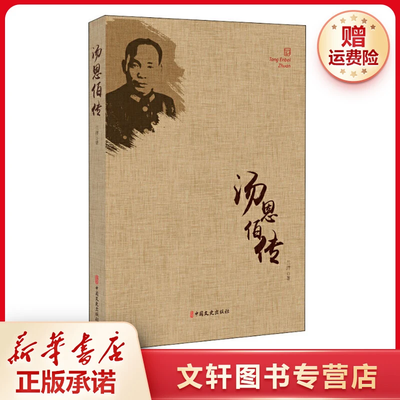 【文轩】汤恩伯传 中国历史