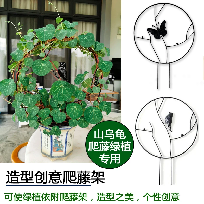 山乌龟爬藤架子花支架园艺铁线莲攀爬月季花植物室内花卉装饰专用