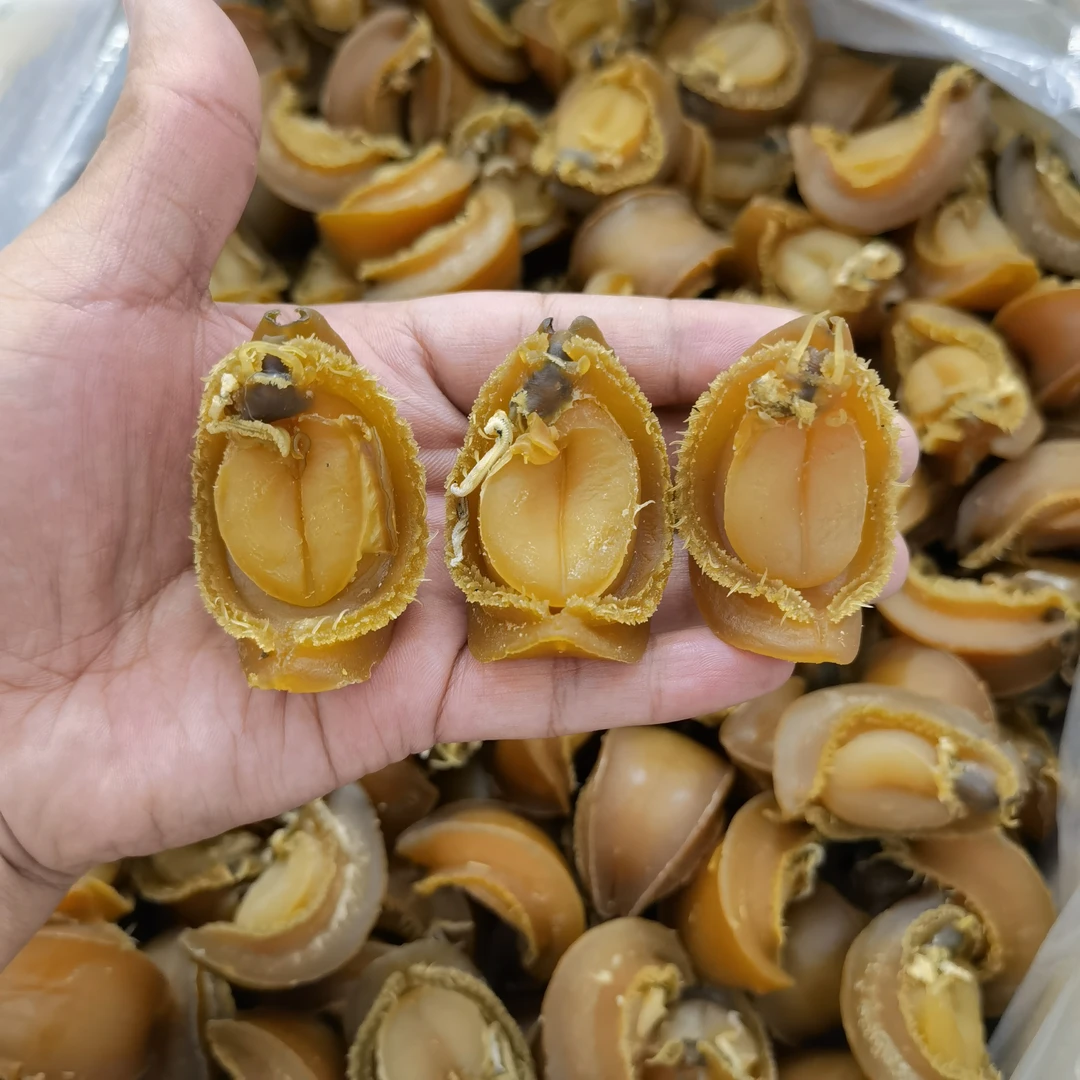【海泓鲜】20-25头吉品鲍鱼干家庭宴会送礼佳品250g500g 广东汕头