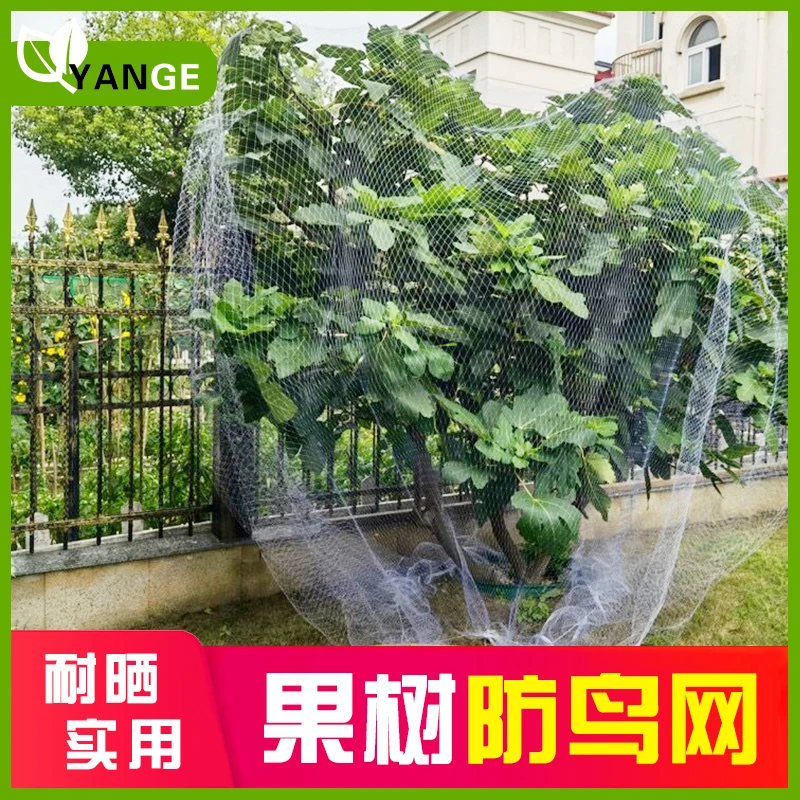 【颜格】防鸟天网 防护网 鸟笼网 防鸟尼龙网农用果园机场防鸟网